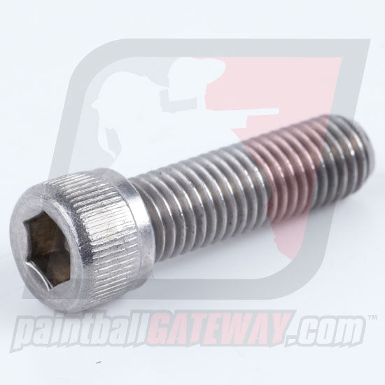 WGP Autococker Vertical ASA Screw (3/16 Socket head) - Stainless (UB30)